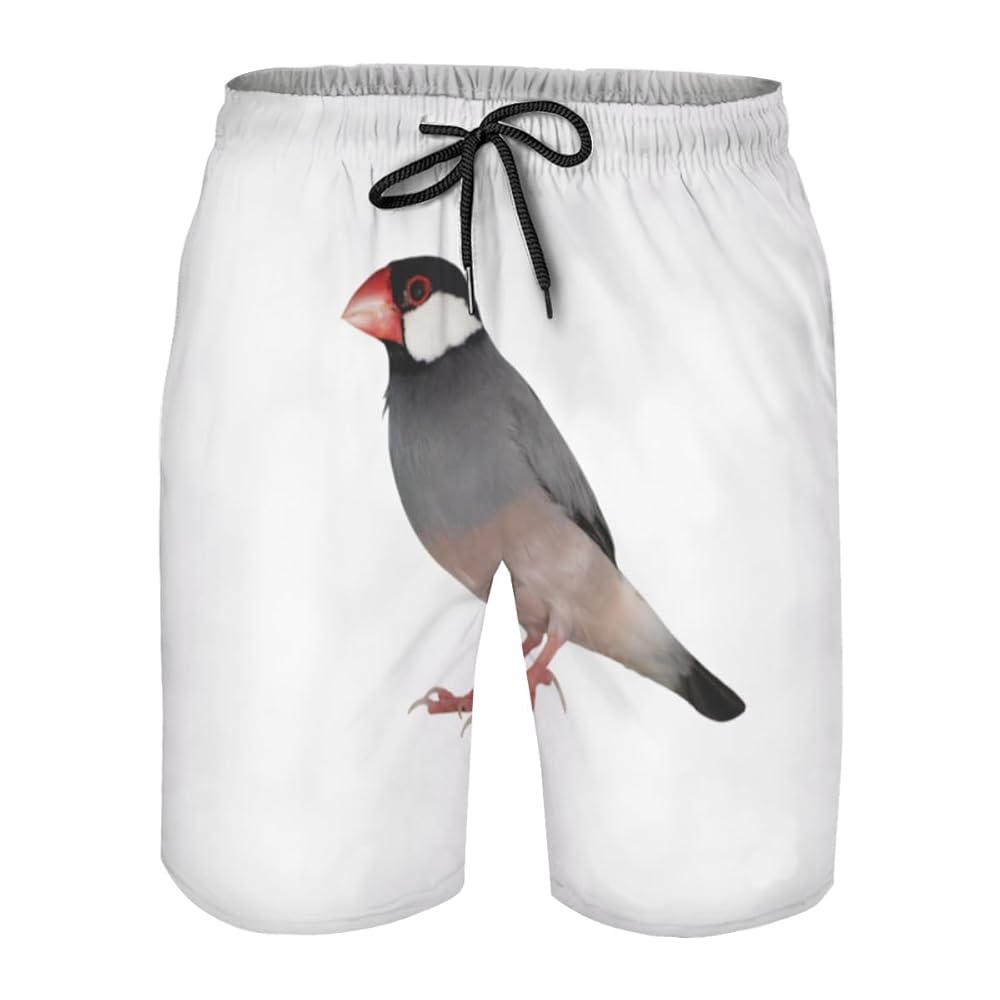 最終値下げ　FIED ファイド　サーフパンツ　水着 FIEDファイド サーフパンツ 水着 サイズ28黒・緑 フィジーク